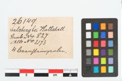 Etikett zu Bernsteinringperlen (NHMW-PRAE-026149)